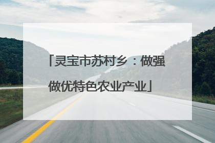 灵宝市苏村乡：做强做优特色农业产业