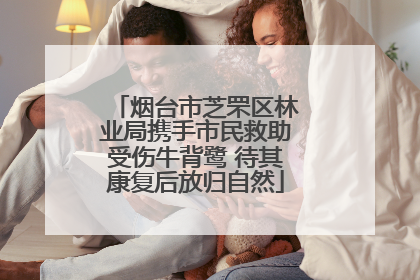 烟台市芝罘区林业局携手市民救助受伤牛背鹭 待其康复后放归自然