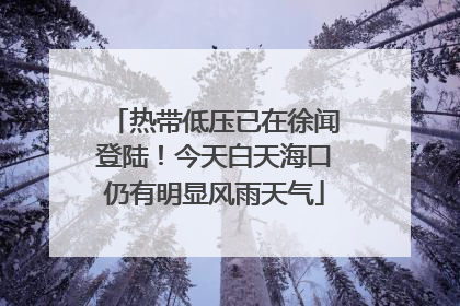 热带低压已在徐闻登陆！今天白天海口仍有明显风雨天气