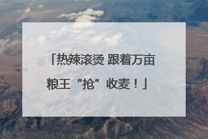 热辣滚烫 跟着万亩粮王“抢”收麦！