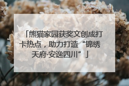 熊猫家园获奖文创成打卡热点，助力打造“锦绣天府·安逸四川”