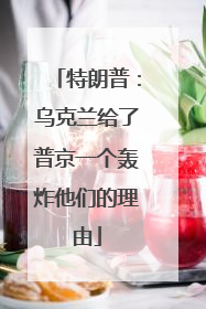 特朗普：乌克兰给了普京一个轰炸他们的理由