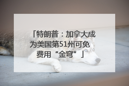 特朗普：加拿大成为美国第51州可免费用“金穹”