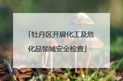 牡丹区开展化工及危化品领域安全检查