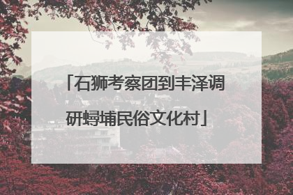 石狮考察团到丰泽调研蟳埔民俗文化村