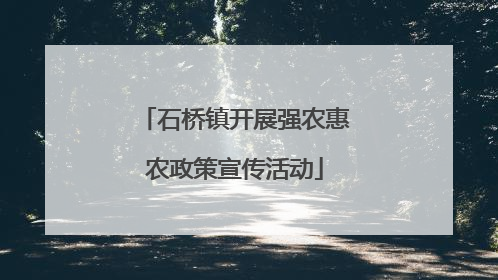 石桥镇开展强农惠农政策宣传活动