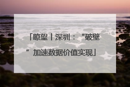 瞭望丨深圳：“破壁”加速数据价值实现