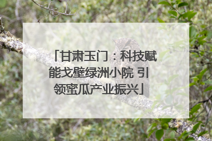 甘肃玉门：科技赋能戈壁绿洲小院 引领蜜瓜产业振兴