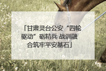 甘肃灵台公安“四轮驱动”砺精兵 战训融合筑牢平安基石