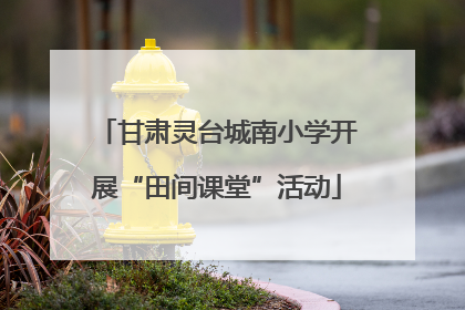 甘肃灵台城南小学开展“田间课堂”活动