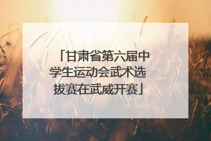 甘肃省第六届中学生运动会武术选拔赛在武威开赛
