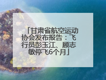 甘肃省航空运动协会发布报告：飞行员彭玉江、顾志敏停飞6个月