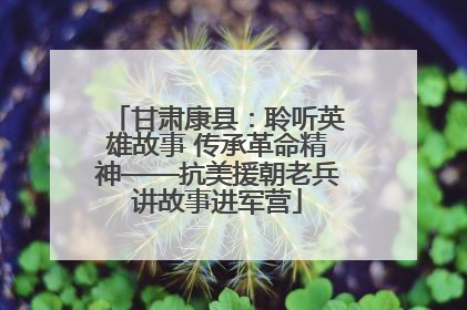 甘肃康县：聆听英雄故事 传承革命精神——抗美援朝老兵讲故事进军营