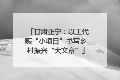 甘肃正宁：以工代赈“小项目”书写乡村振兴“大文章”