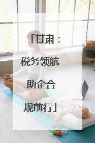 甘肃：税务领航 助企合规前行