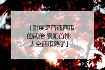 甜度是普通西瓜的两倍 襄阳首批太空西瓜熟了
