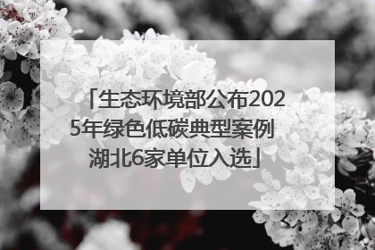 生态环境部公布2025年绿色低碳典型案例 湖北6家单位入选