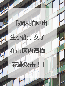 疑因拍刚出生小鹿，女子在市区内遭梅花鹿攻击！