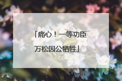 痛心！一等功臣万松因公牺牲