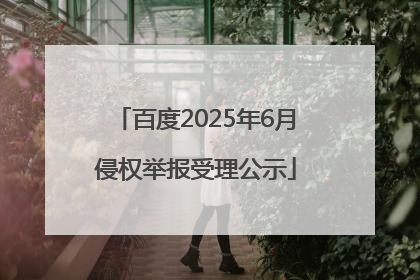 百度2025年6月侵权举报受理公示