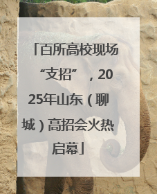 百所高校现场“支招”，2025年山东（聊城）高招会火热启幕