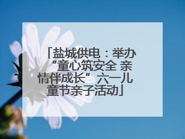 盐城供电：举办“童心筑安全 亲情伴成长”六一儿童节亲子活动