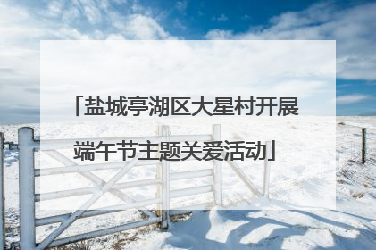 盐城亭湖区大星村开展端午节主题关爱活动
