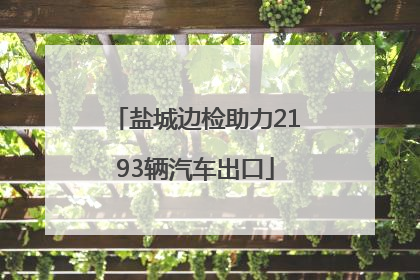 盐城边检助力2193辆汽车出口