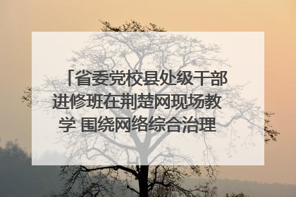 省委党校县处级干部进修班在荆楚网现场教学 围绕网络综合治理工作展开交流