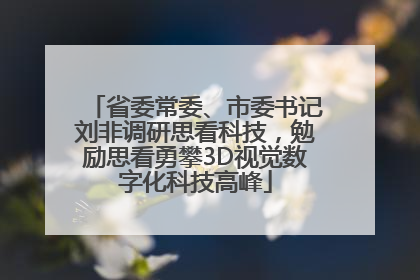 省委常委、市委书记刘非调研思看科技，勉励思看勇攀3D视觉数字化科技高峰