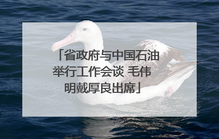 省政府与中国石油举行工作会谈 毛伟明戴厚良出席