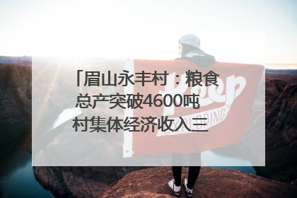 眉山永丰村：粮食总产突破4600吨 村集体经济收入三年倍增｜牵挂的村