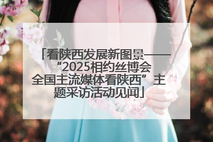看陕西发展新图景——“2025相约丝博会 全国主流媒体看陕西”主题采访活动见闻