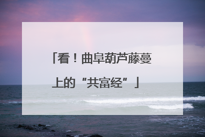 看！曲阜葫芦藤蔓上的“共富经”