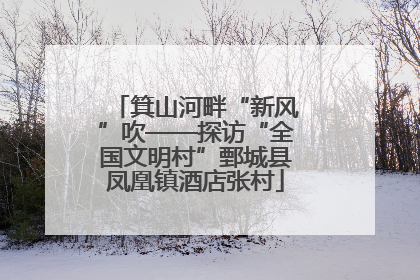 箕山河畔“新风”吹——探访“全国文明村”鄄城县凤凰镇酒店张村