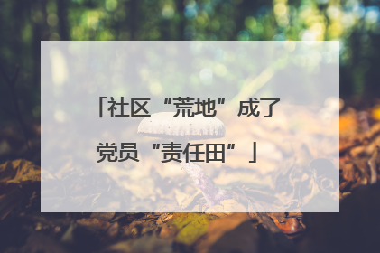 社区“荒地”成了党员“责任田”