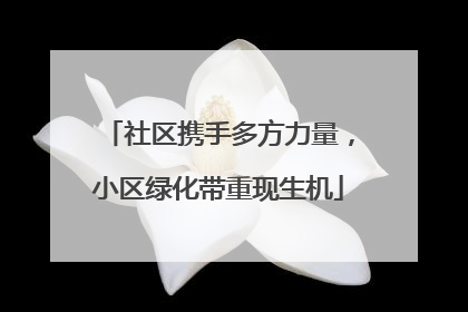 社区携手多方力量，小区绿化带重现生机