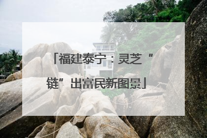 福建泰宁：灵芝“链”出富民新图景
