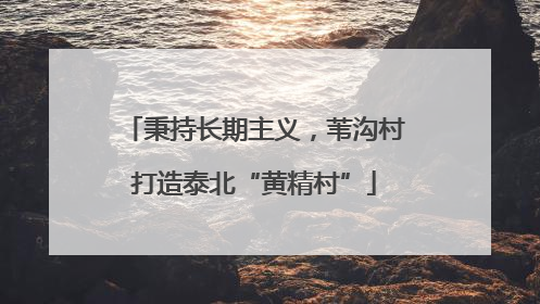 秉持长期主义，苇沟村打造泰北“黄精村”