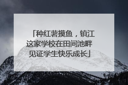 种红薯摸鱼，镇江这家学校在田间池畔见证学生快乐成长