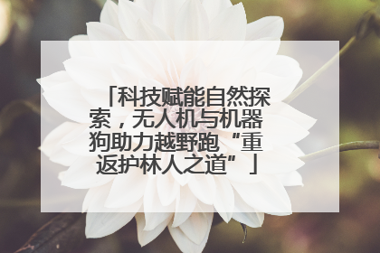 科技赋能自然探索，无人机与机器狗助力越野跑“重返护林人之道”