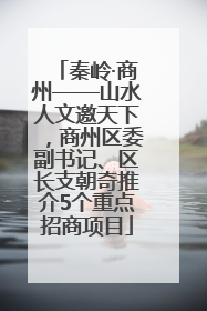 秦岭·商州——山水人文邀天下，商州区委副书记、区长支朝奇推介5个重点招商项目