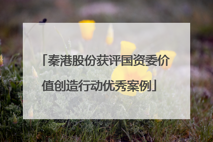 秦港股份获评国资委价值创造行动优秀案例
