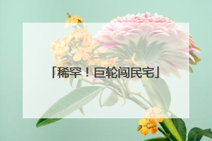 稀罕！巨轮闯民宅