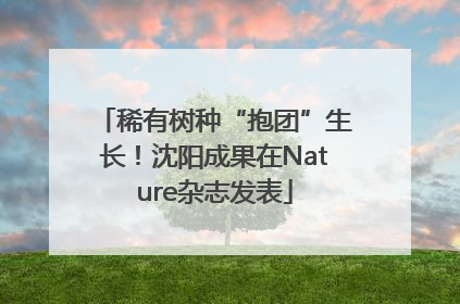稀有树种“抱团”生长！沈阳成果在Nature杂志发表