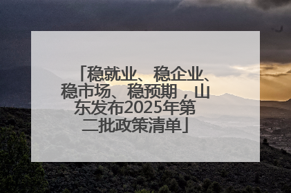 稳就业、稳企业、稳市场、稳预期，山东发布2025年第二批政策清单