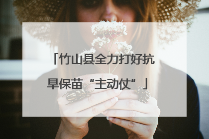 竹山县全力打好抗旱保苗“主动仗”