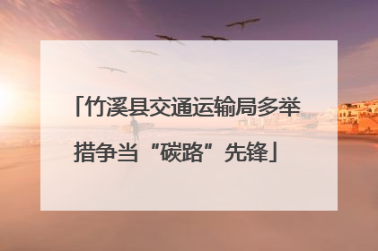 竹溪县交通运输局多举措争当“碳路”先锋