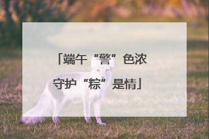 端午“警”色浓 守护“粽”是情