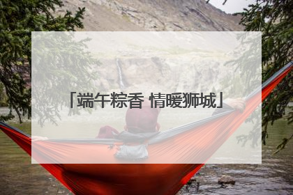 端午粽香 情暖狮城